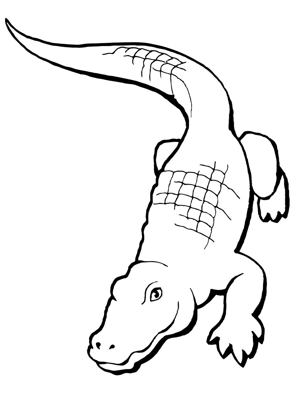 Desenho de Aligátor para colorir