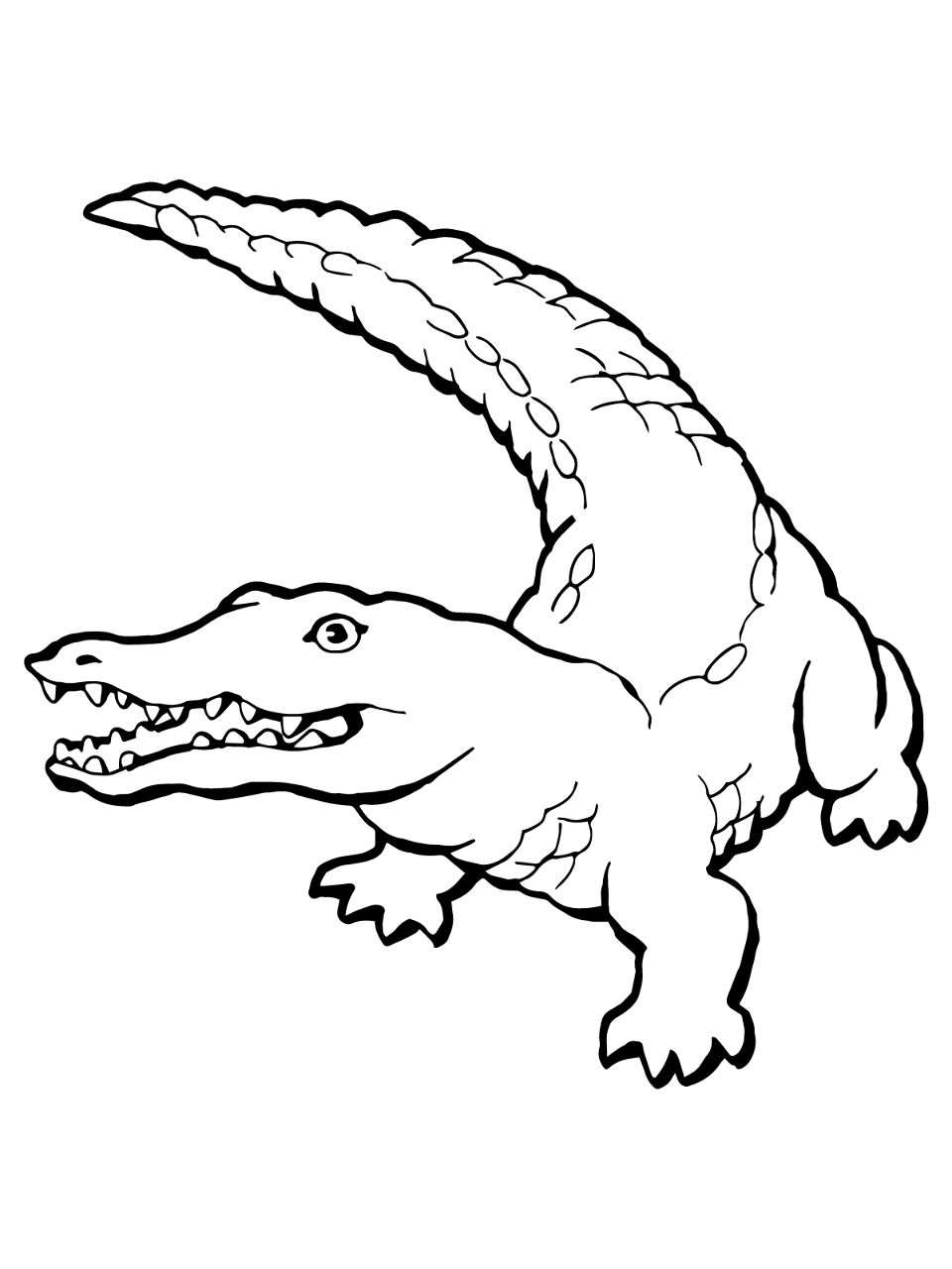 Desenho de Aligátor para colorir