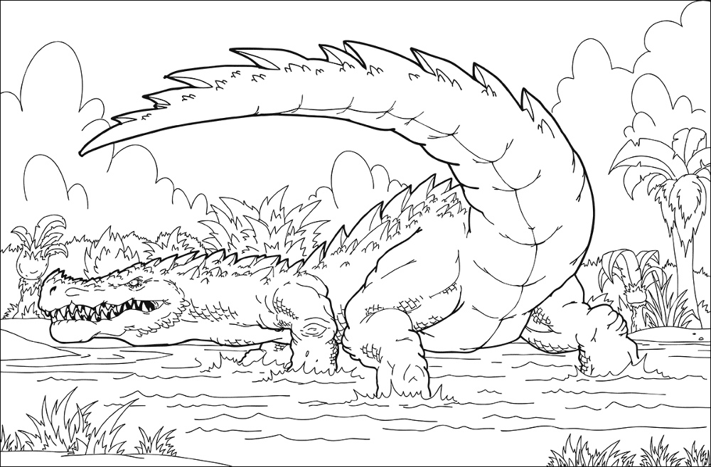 Desenho de Aligátor para colorir