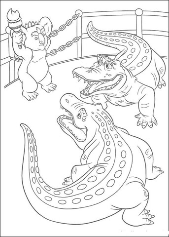 Desenho de Aligátor para colorir
