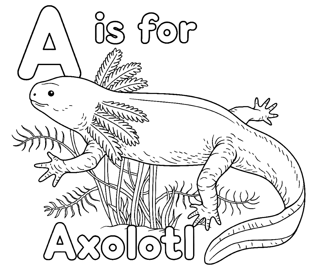 Desenho de Anfíbios para colorir e imprimir: número 1