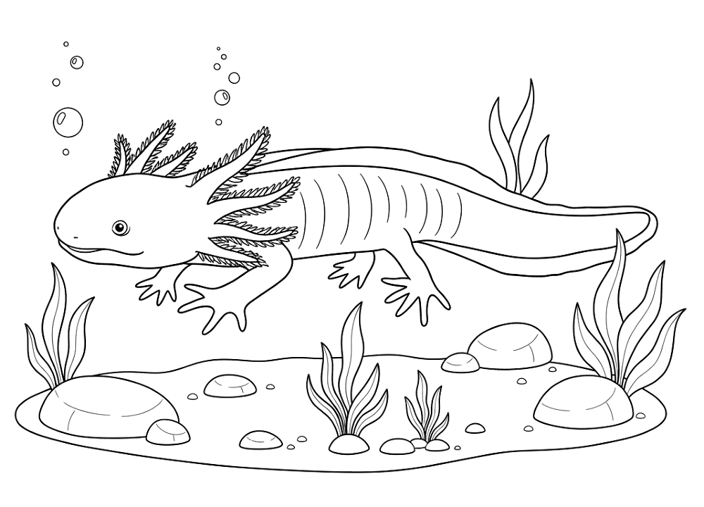 Desenho de Anfíbios para colorir e imprimir: número 8