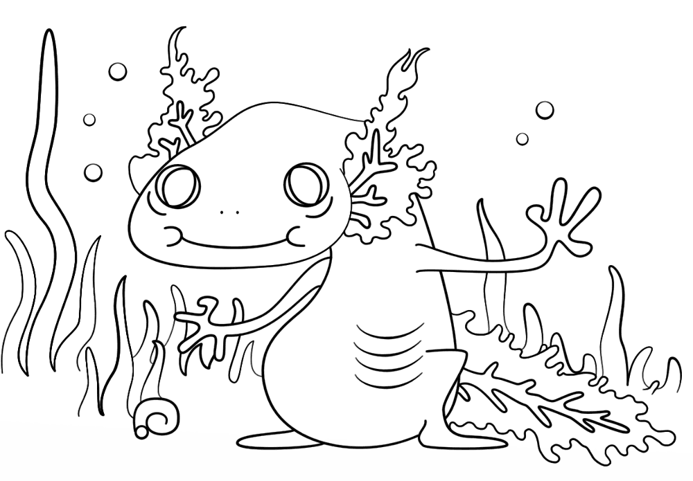 Desenho de Anfíbios para colorir e imprimir: número 14