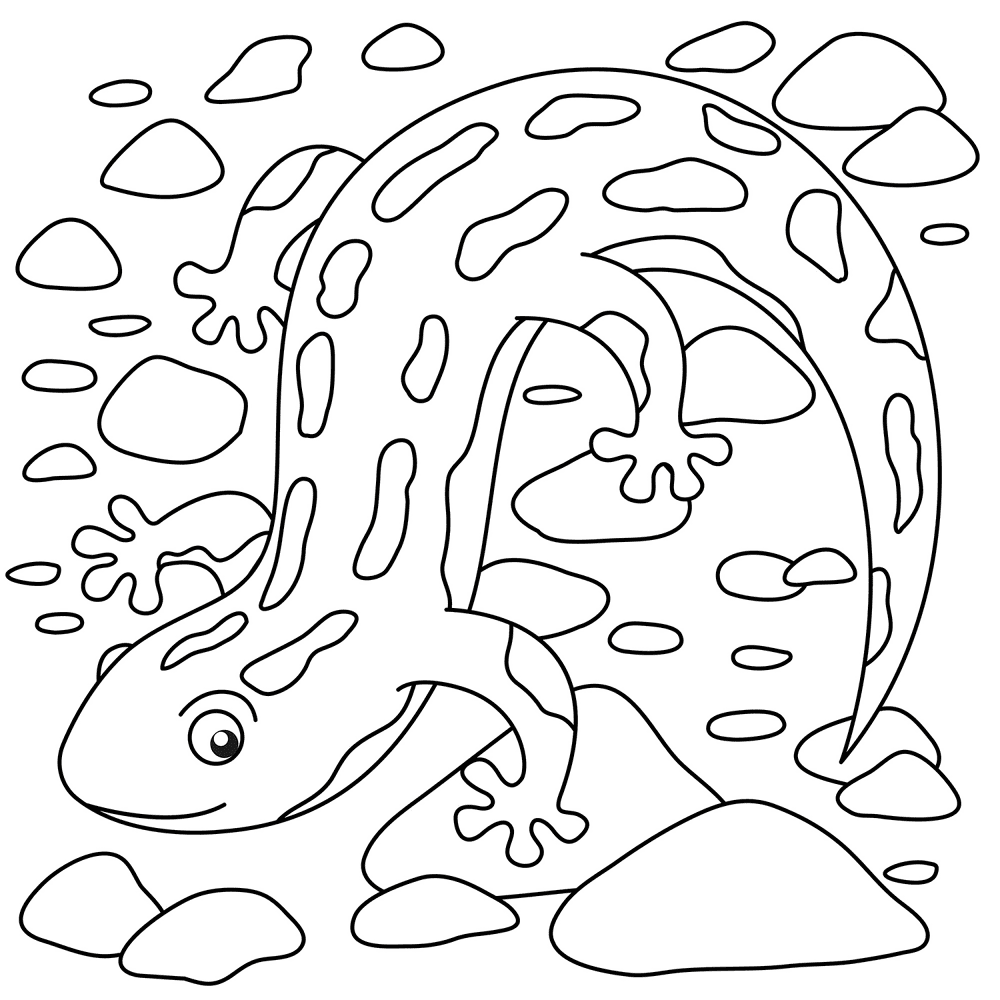 Desenho de Anfíbios para colorir e imprimir: número 15