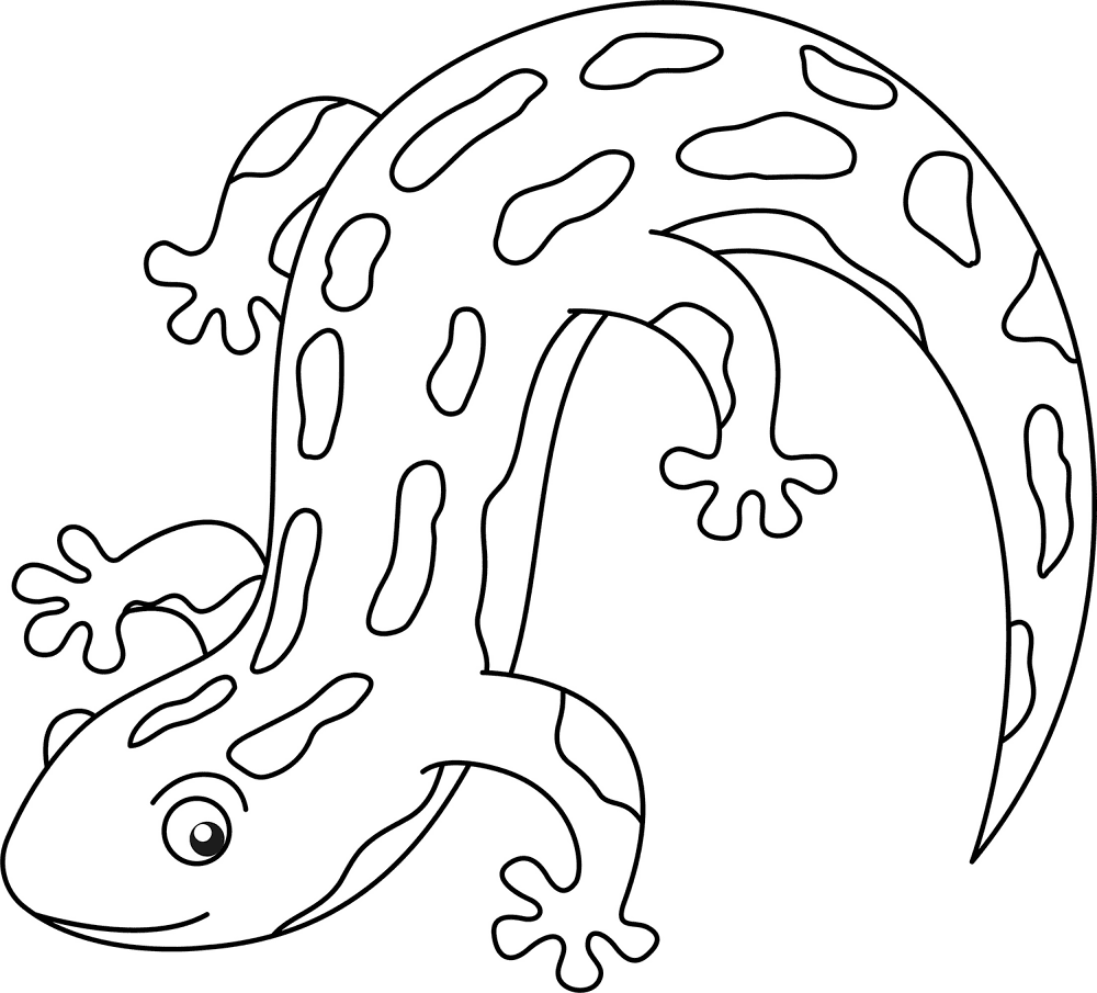 Desenho de Anfíbios para colorir e imprimir: número 16