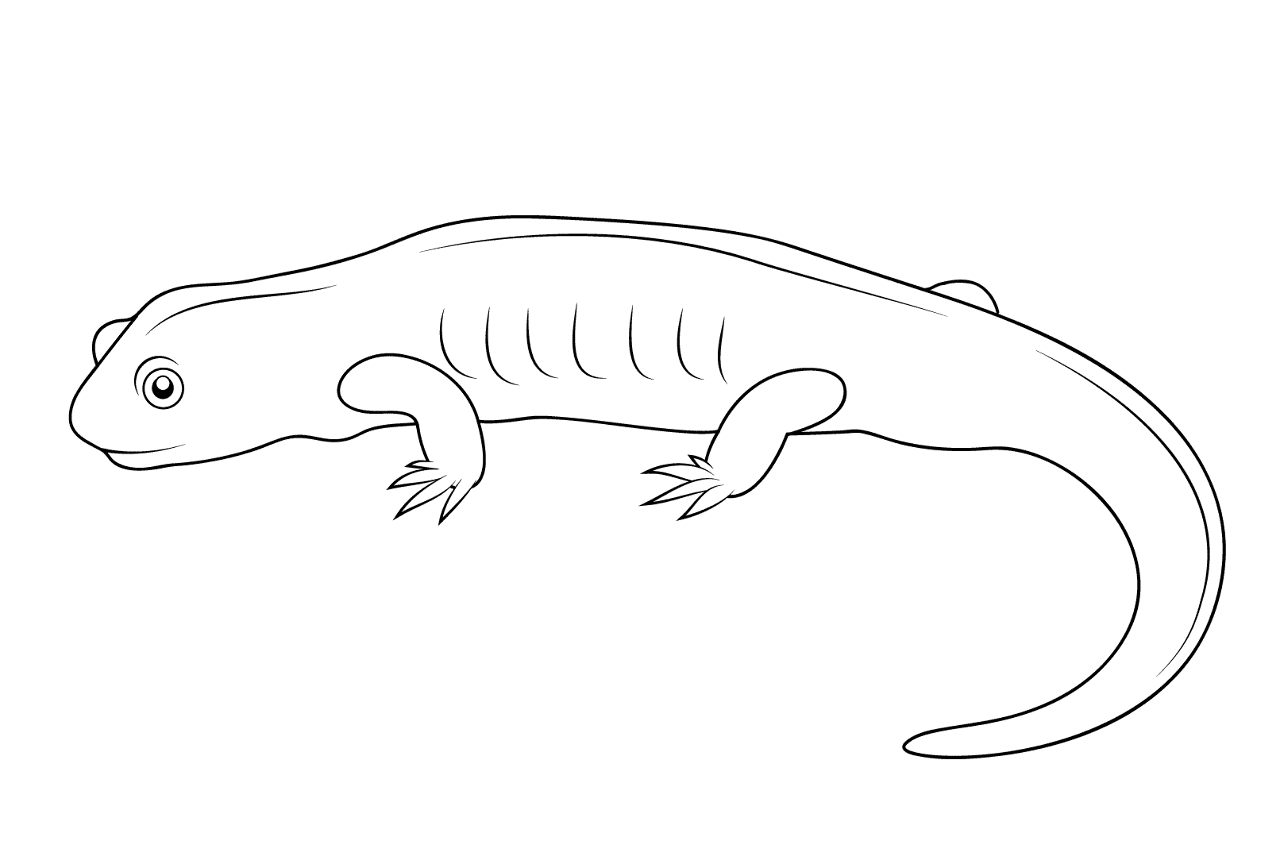 Desenho de Anfíbios para colorir e imprimir: número 36