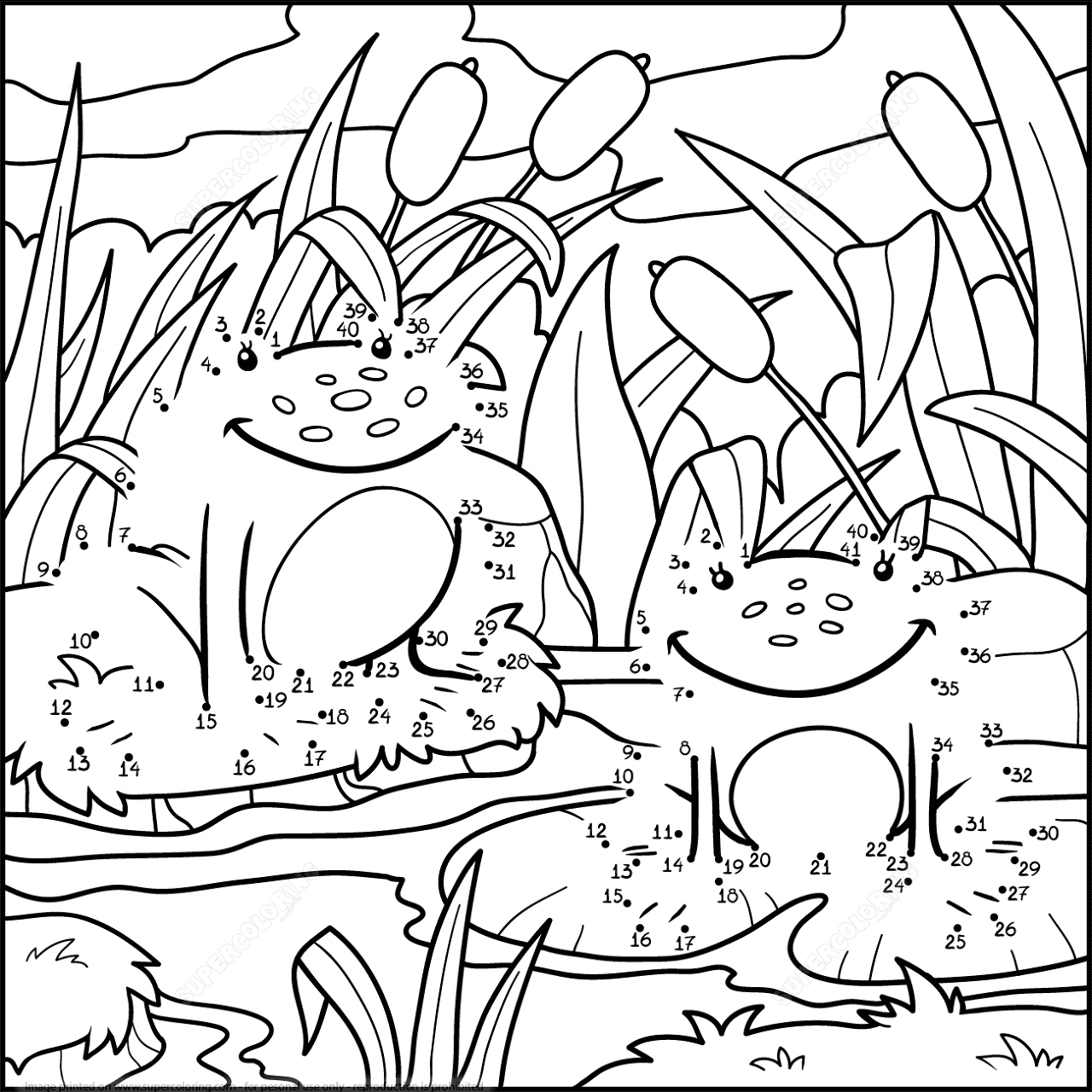 Desenho de Anfíbios para colorir e imprimir: número 42