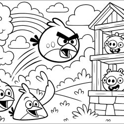 Desenho de Angry Birds para colorir e imprimir: número 1