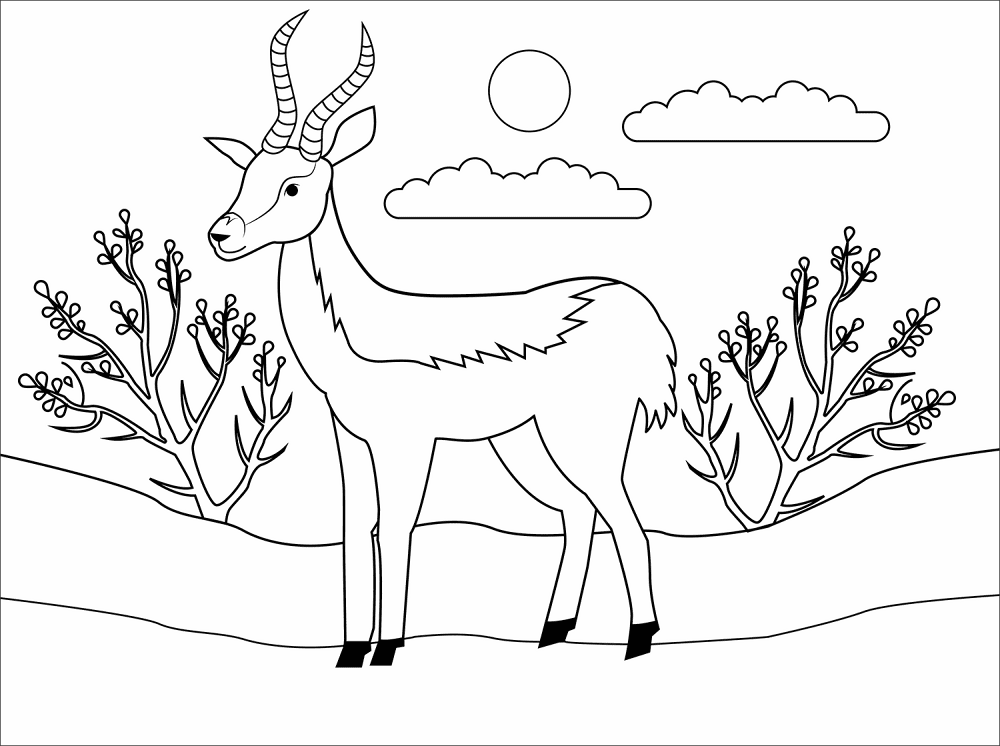 Desenho de Animais Africanos para colorir e imprimir: número 2