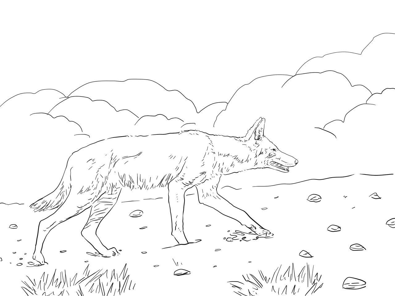 Desenho de Animais Africanos para colorir e imprimir: número 3