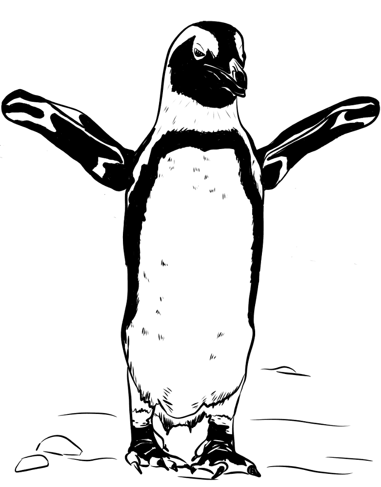 Desenho de Animais Africanos para colorir e imprimir: número 4
