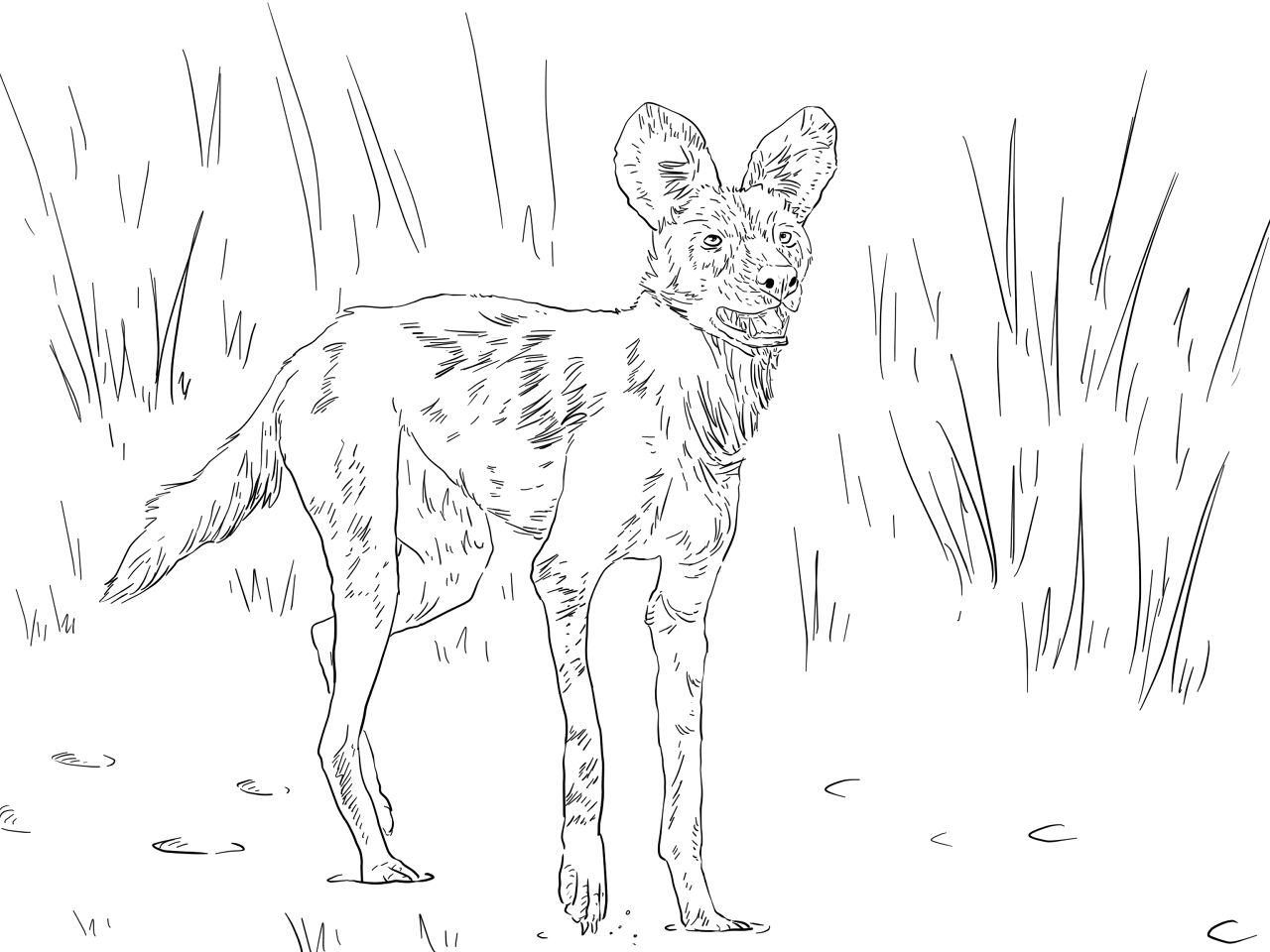 Desenho de Animais Africanos para colorir e imprimir: número 6