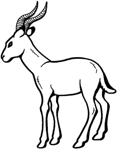 Desenho de Animais Africanos para colorir e imprimir: número 7