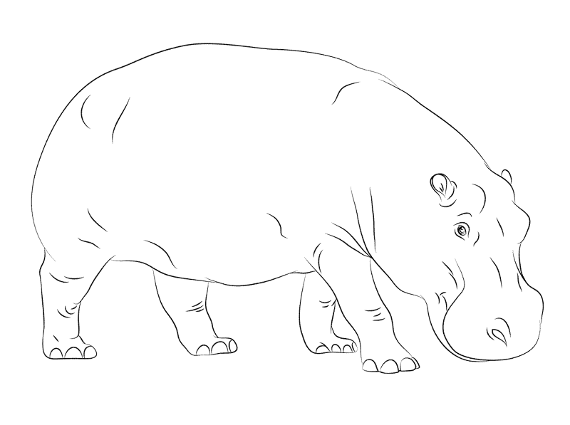 Desenho de Animais Africanos para colorir e imprimir: número 13