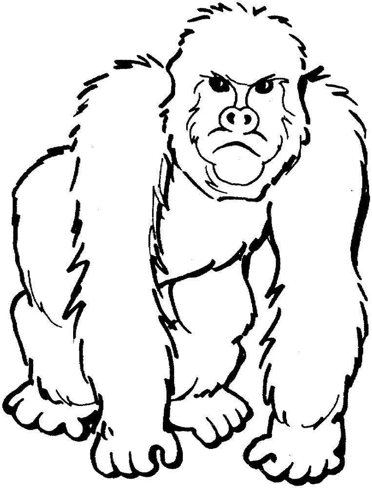 Desenho de Animais Africanos para colorir e imprimir: número 14