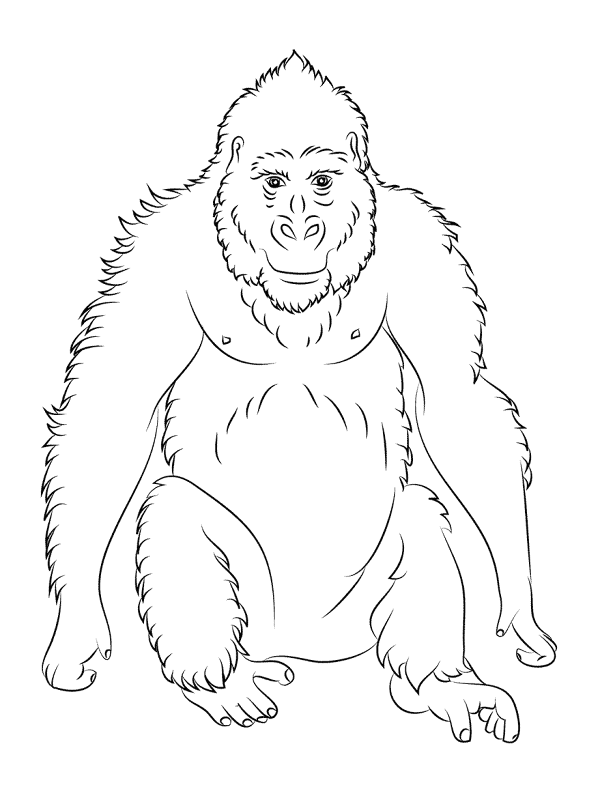 Desenho de Animais Africanos para colorir e imprimir: número 16