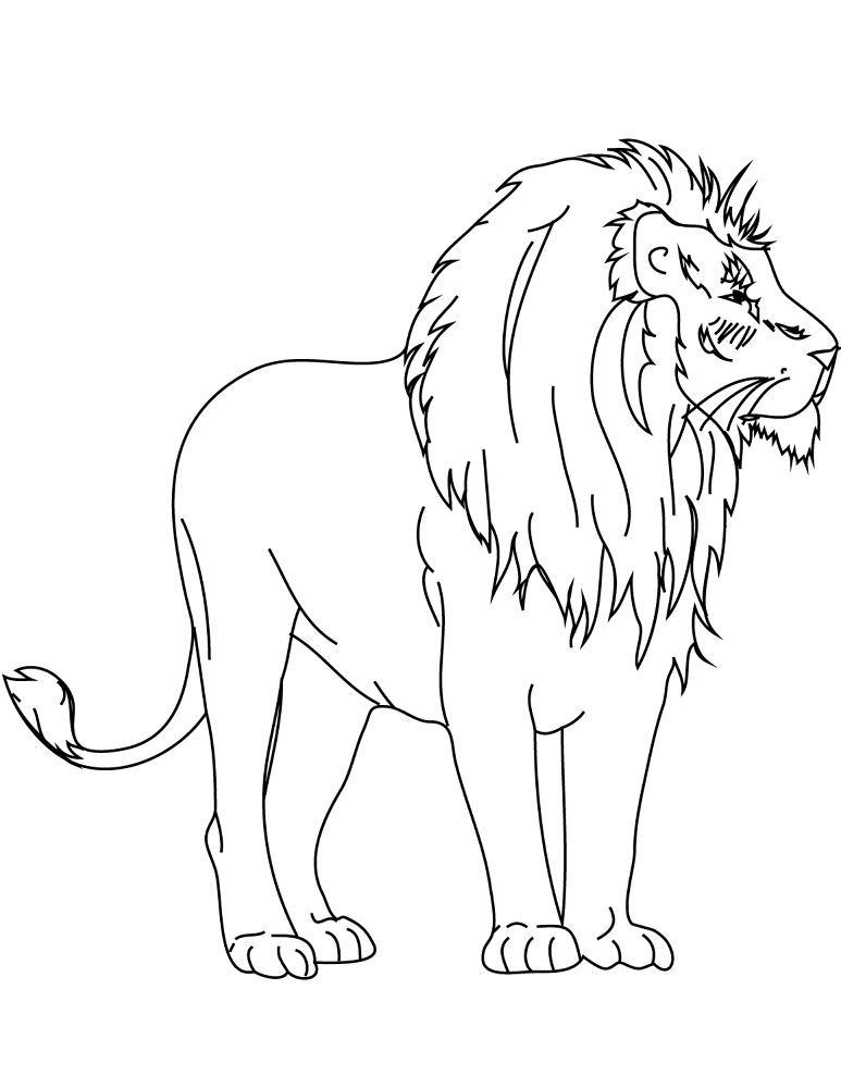 Desenho de Animais Africanos para colorir e imprimir: número 20