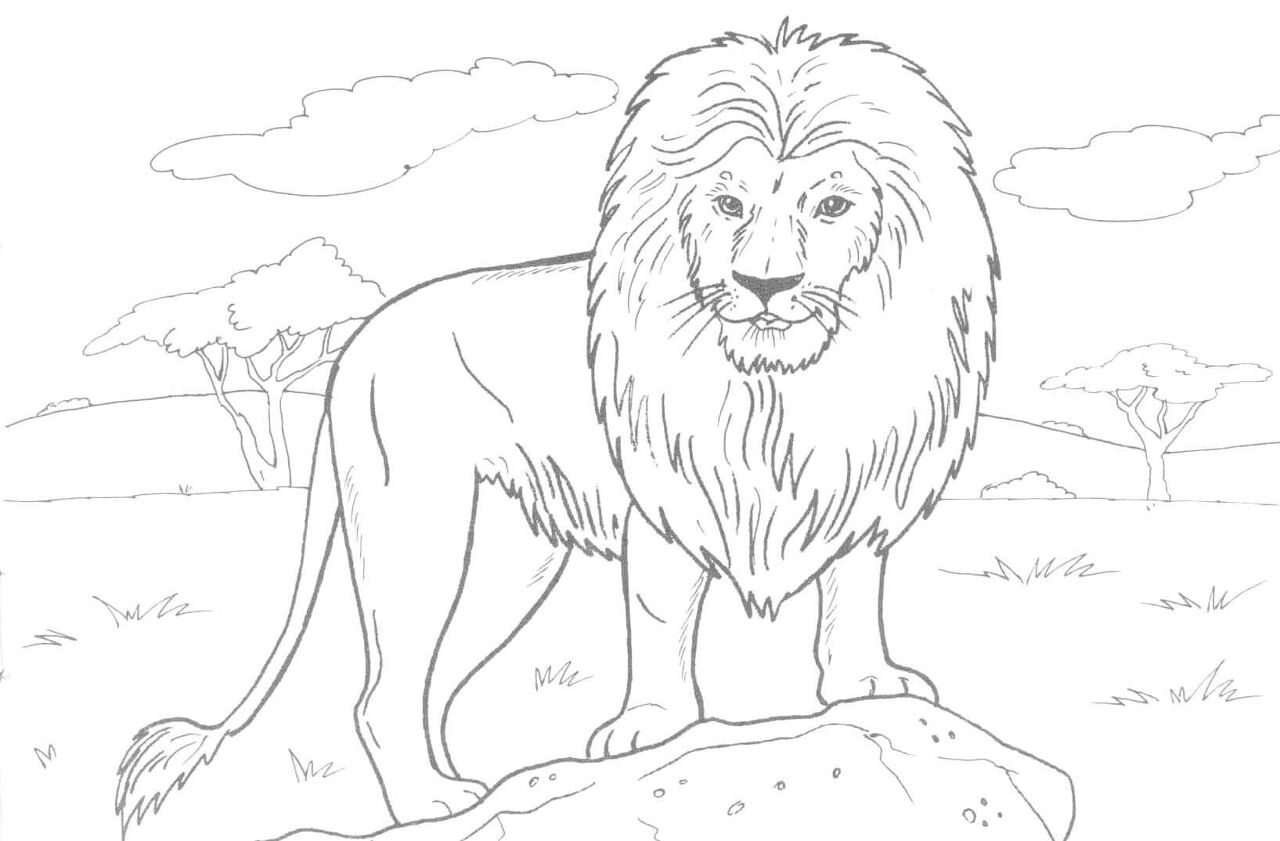 Desenho de Animais Africanos para colorir e imprimir: número 22