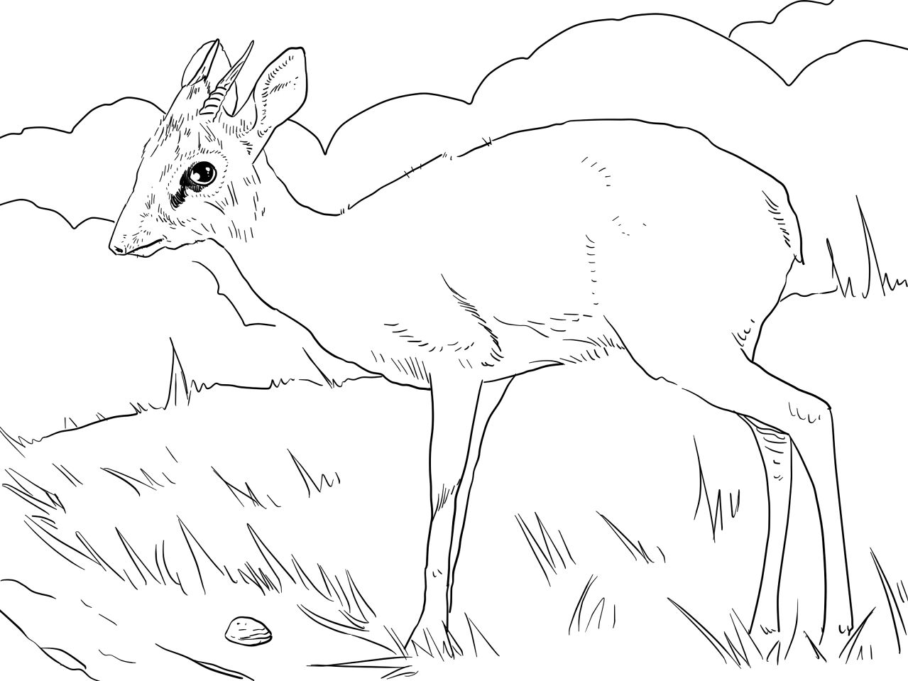 Desenho de Animais Africanos para colorir e imprimir: número 23