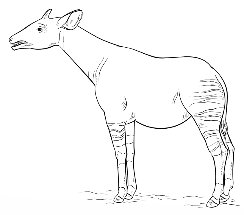 Desenho de Animais Africanos para colorir e imprimir: número 26