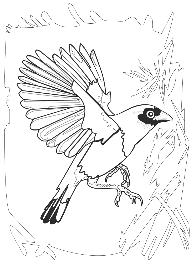 Desenho de Animais Africanos para colorir e imprimir: número 28