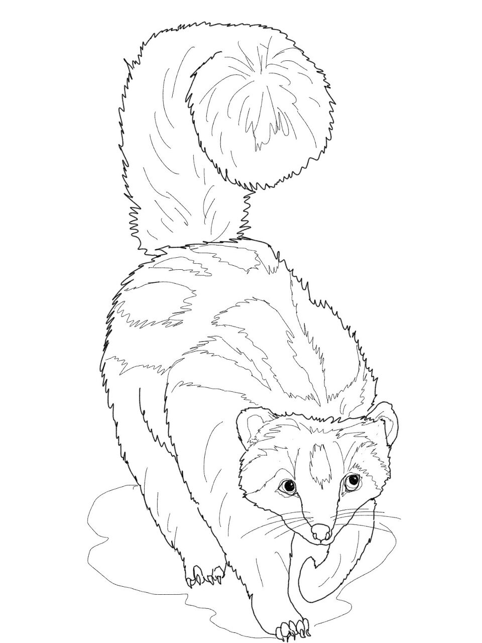 Desenho de Animais Africanos para colorir e imprimir: número 30