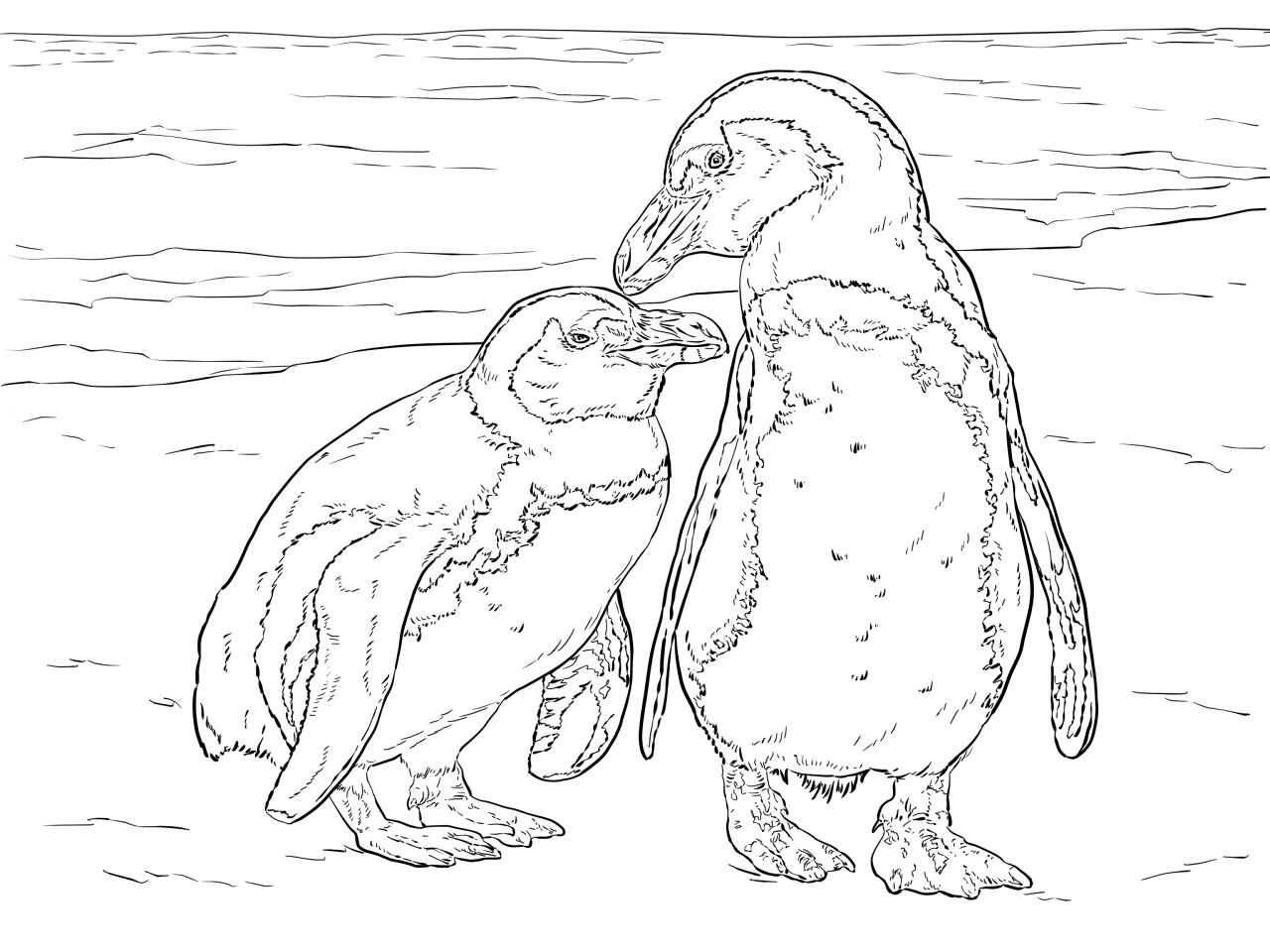 Desenho de Animais Africanos para colorir e imprimir: número 32