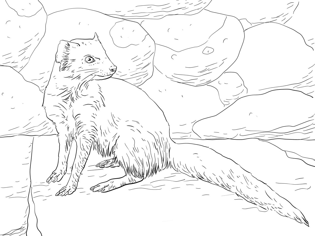 Desenho de Animais Africanos para colorir e imprimir: número 34