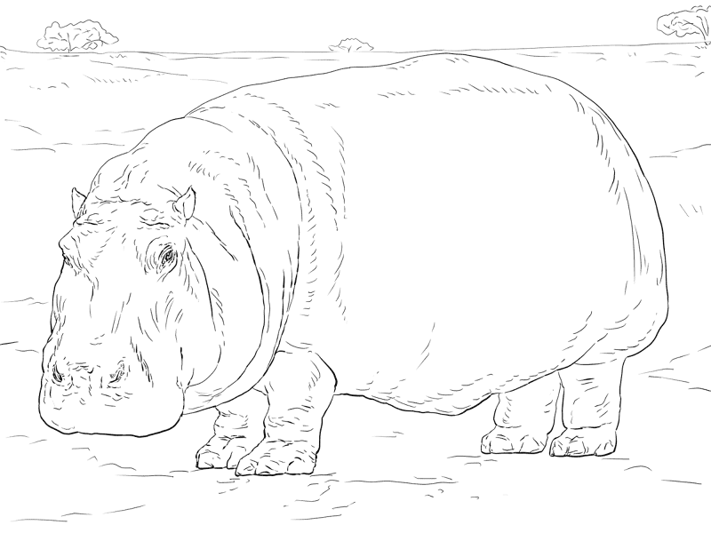 Desenho de Animais Ameaçados para colorir e imprimir: número 7