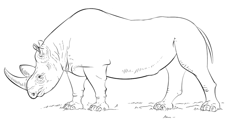 Desenho de Animais Ameaçados para colorir e imprimir: número 9