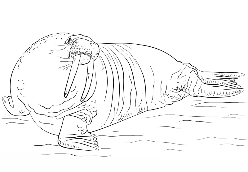 Desenho de Animais Ameaçados para colorir e imprimir: número 10