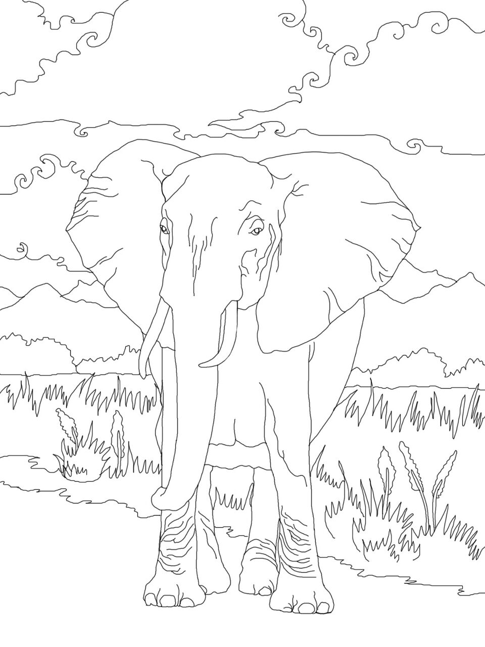 Desenho de Animais Ameaçados para colorir e imprimir: número 11