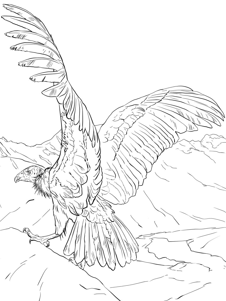 Desenho de Animais Ameaçados para colorir e imprimir: número 13
