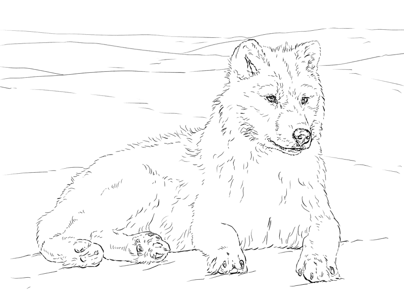 Desenho de Animais Ameaçados para colorir e imprimir: número 14