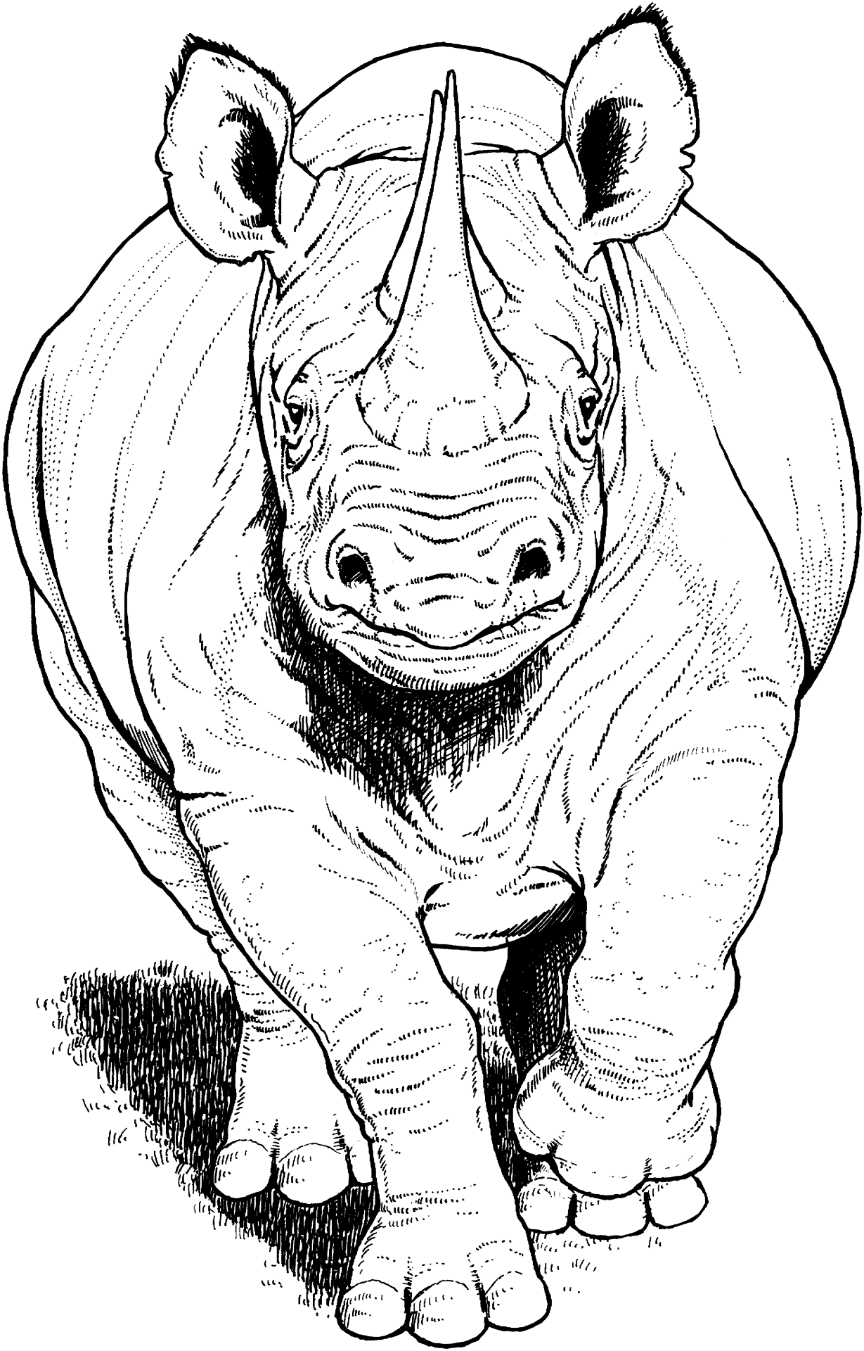 Desenho de Animais Ameaçados para colorir e imprimir: número 17