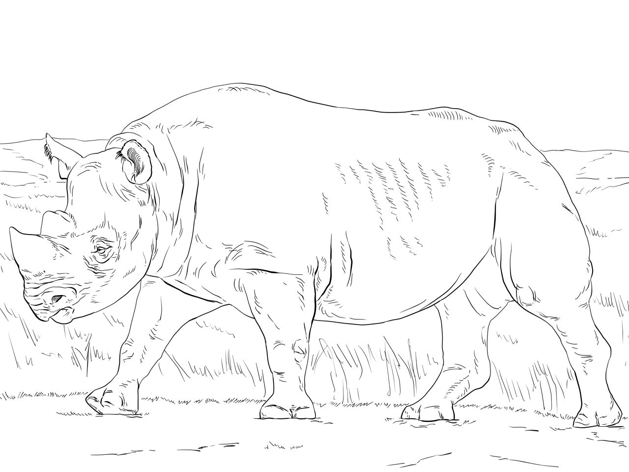 Desenho de Animais Ameaçados para colorir e imprimir: número 18