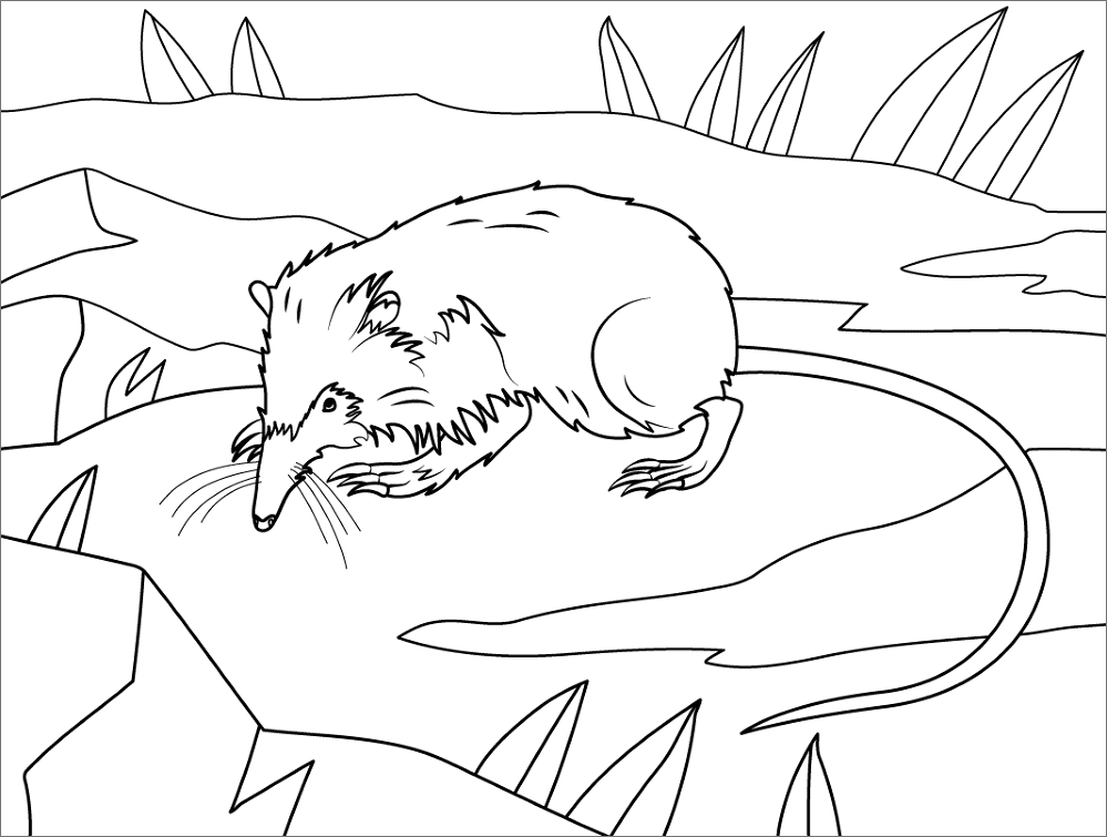 Desenho de Animais Ameaçados para colorir e imprimir: número 20