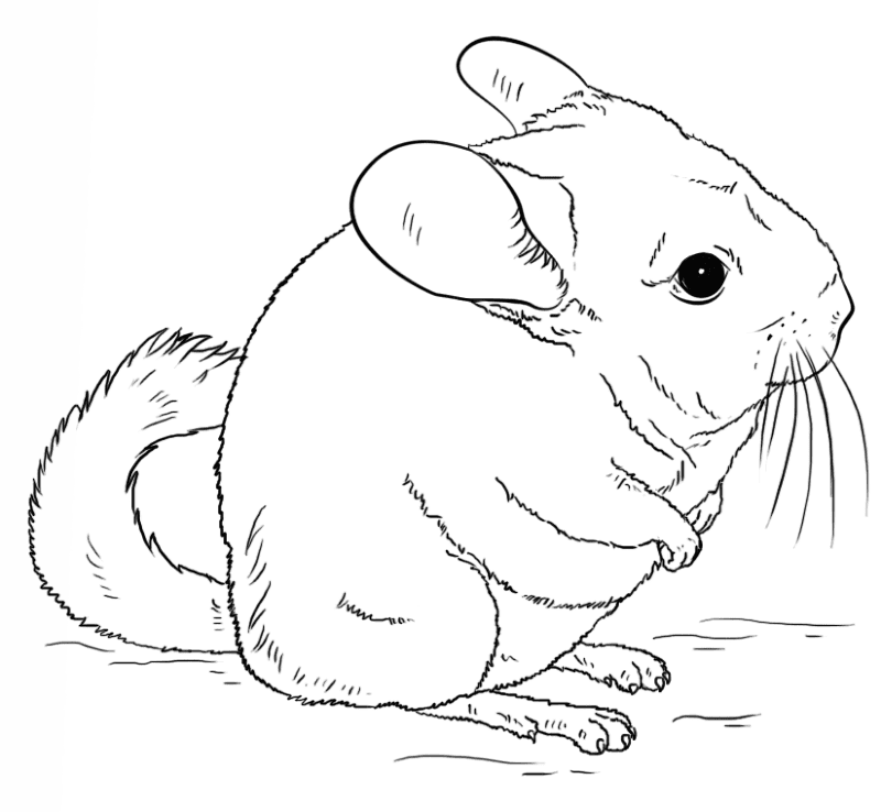 Desenho de Animais Ameaçados para colorir e imprimir: número 22