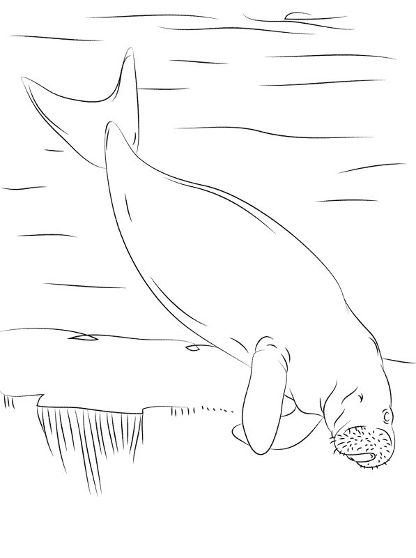 Desenho de Animais Ameaçados para colorir e imprimir: número 26