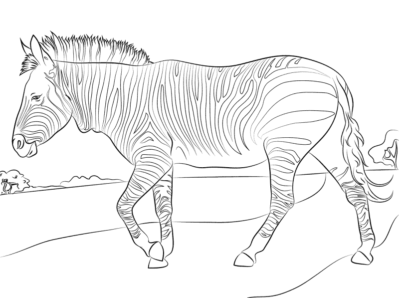 Desenho de Animais Ameaçados para colorir e imprimir: número 31