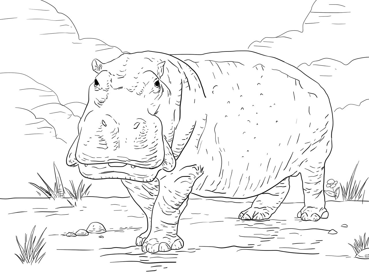 Desenho de Animais Ameaçados para colorir e imprimir: número 32