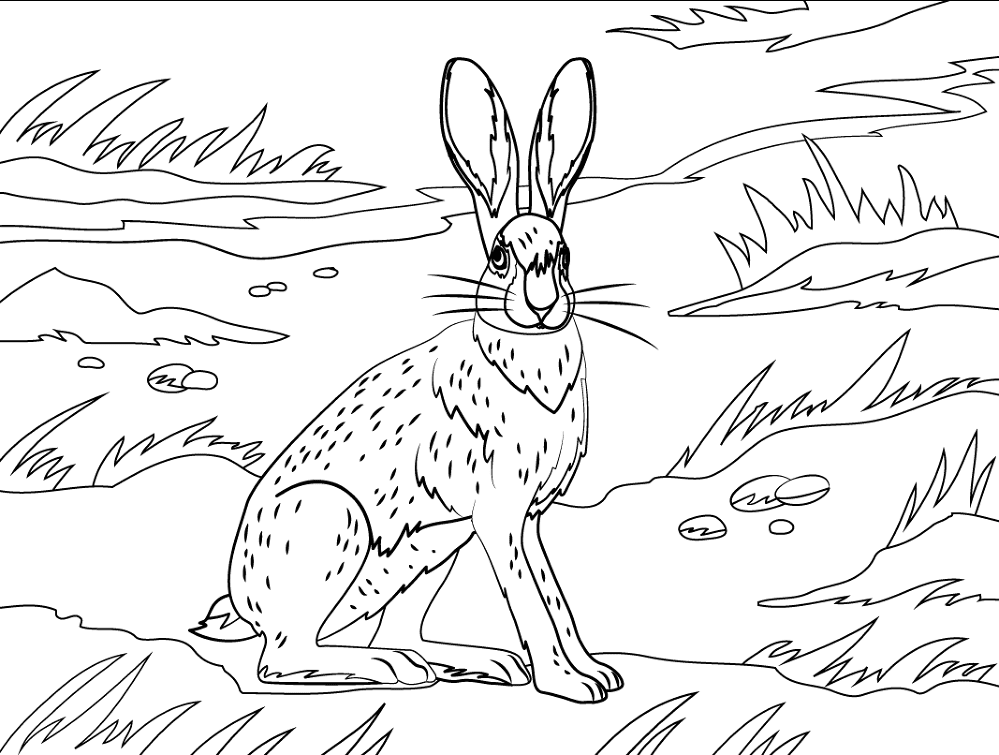 Desenho de Animais Ameaçados para colorir e imprimir: número 34