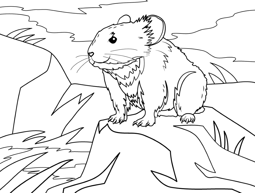 Desenho de Animais Ameaçados para colorir e imprimir: número 35