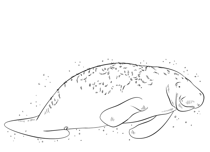 Desenho de Animais Ameaçados para colorir e imprimir: número 40