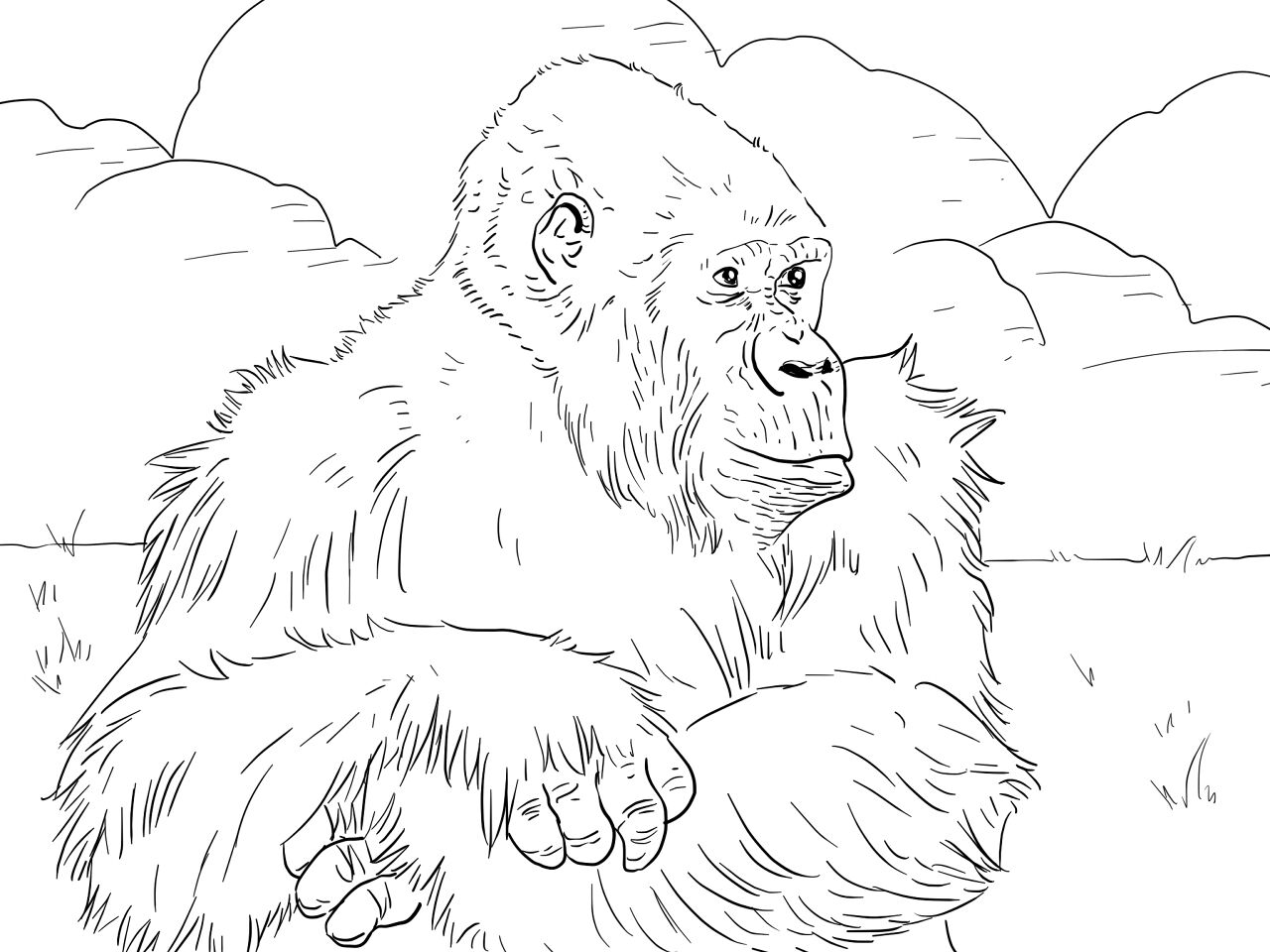 Desenho de Animais Ameaçados para colorir e imprimir: número 41