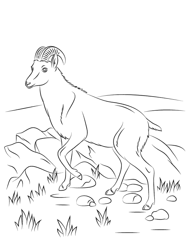 Desenho de Animais Ameaçados para colorir e imprimir: número 42