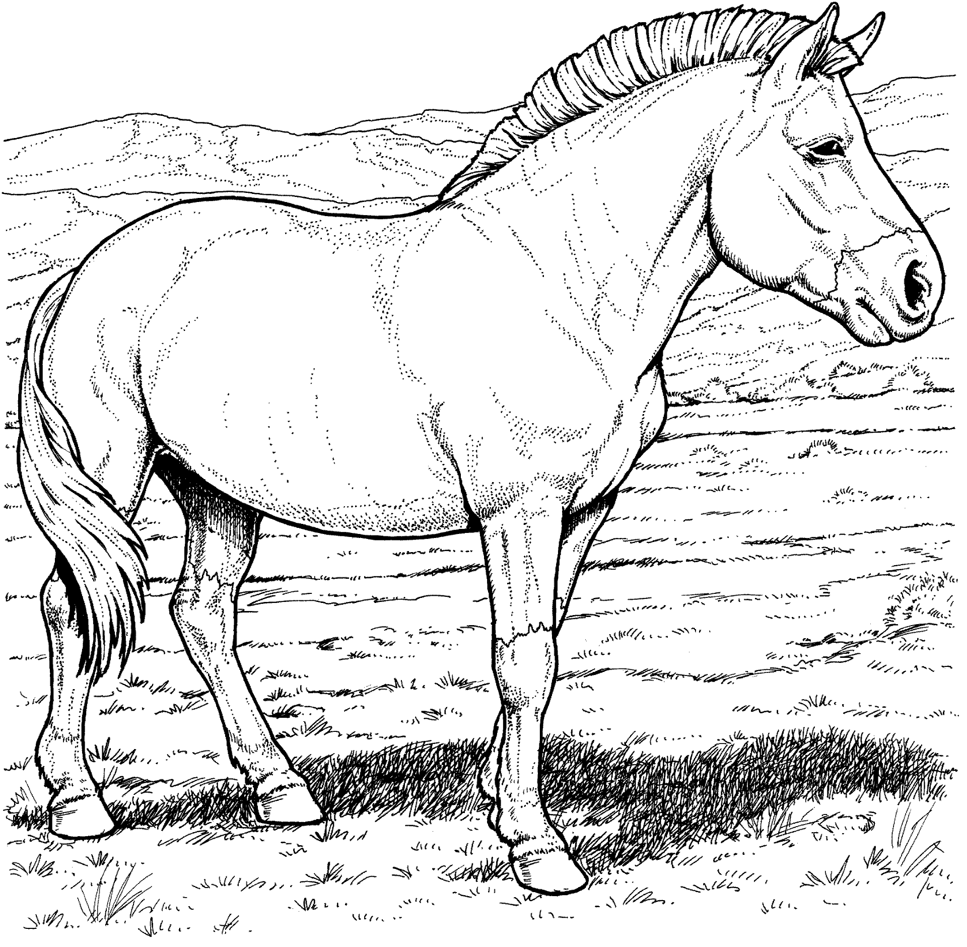 Desenho de Animais Ameaçados para colorir e imprimir: número 44