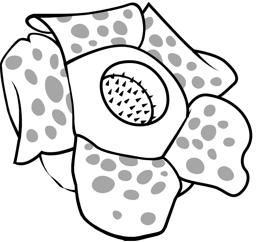 Desenho de Animais Ameaçados para colorir e imprimir: número 45
