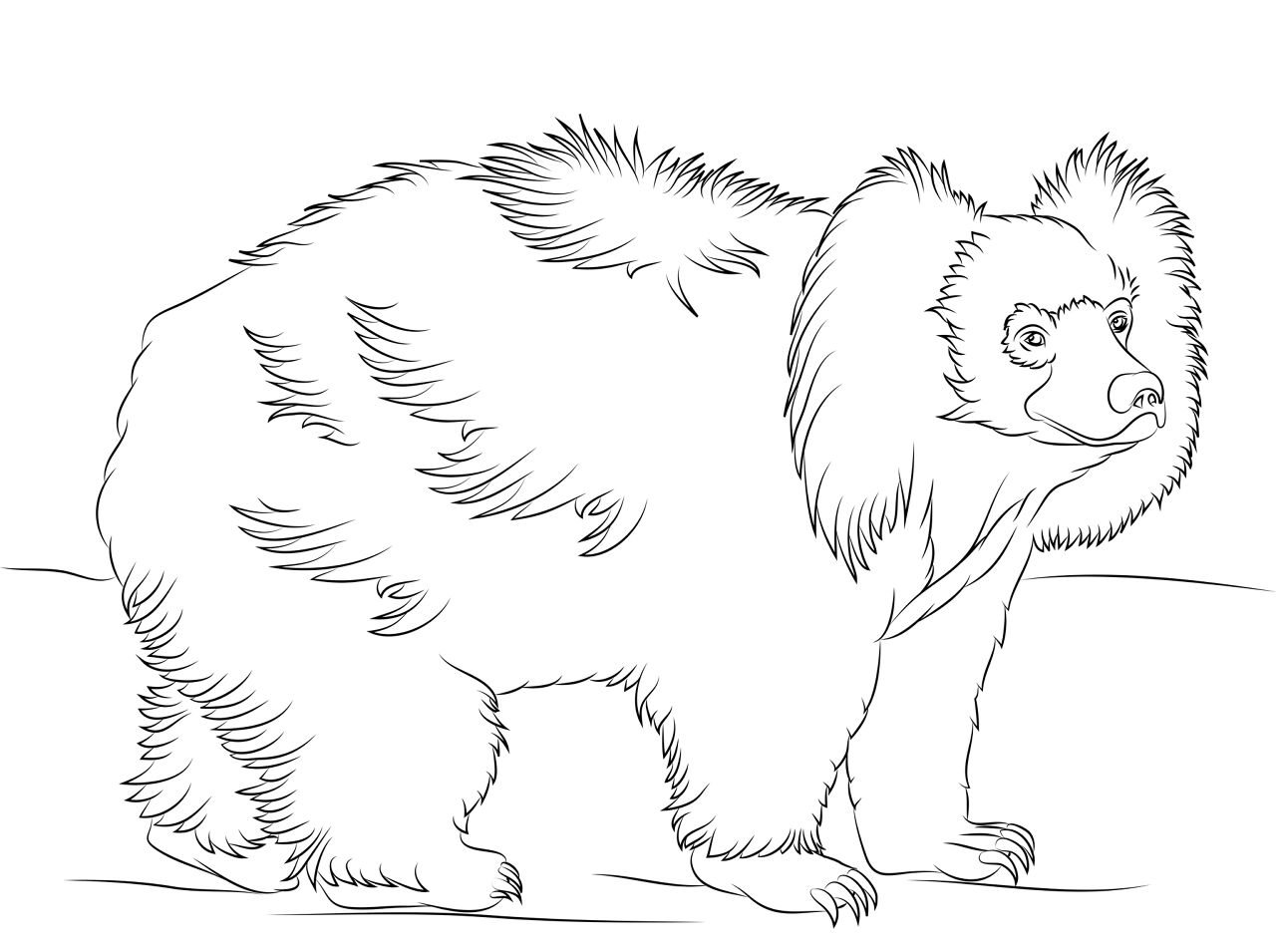 Desenho de Animais Ameaçados para colorir