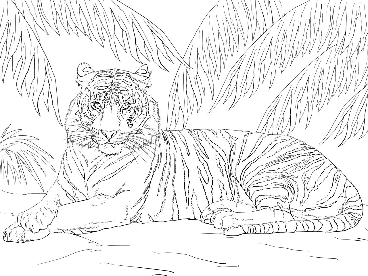 Desenho de Animais Ameaçados para colorir